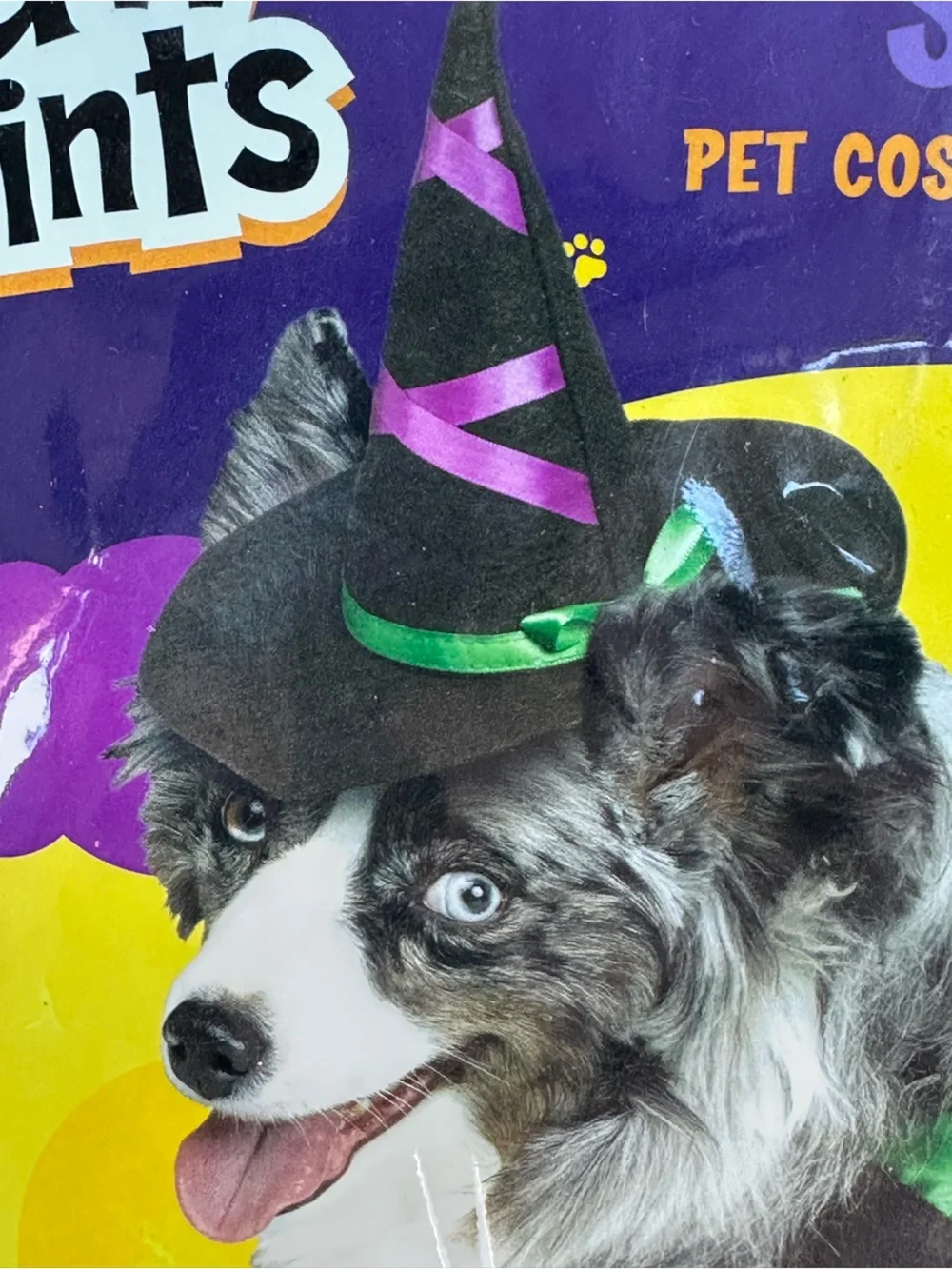 Paw Prints Fun World Doggie Witch Pet Costume Purple Dress Hat Size Large